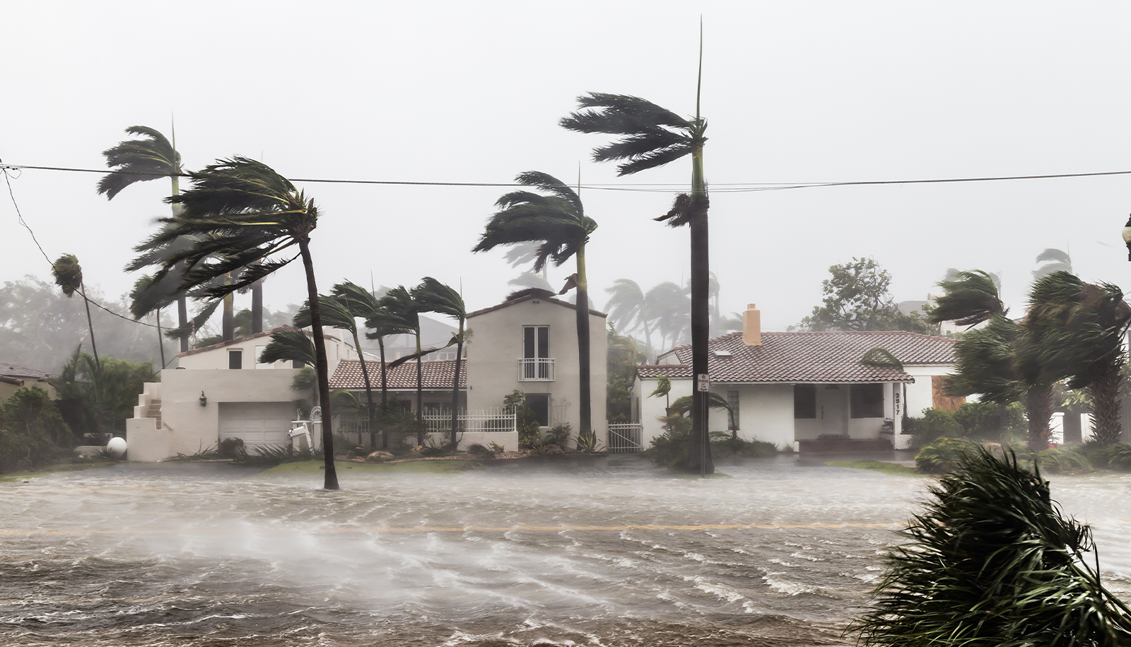 Top 4 Questions About Hurricanes in Florida