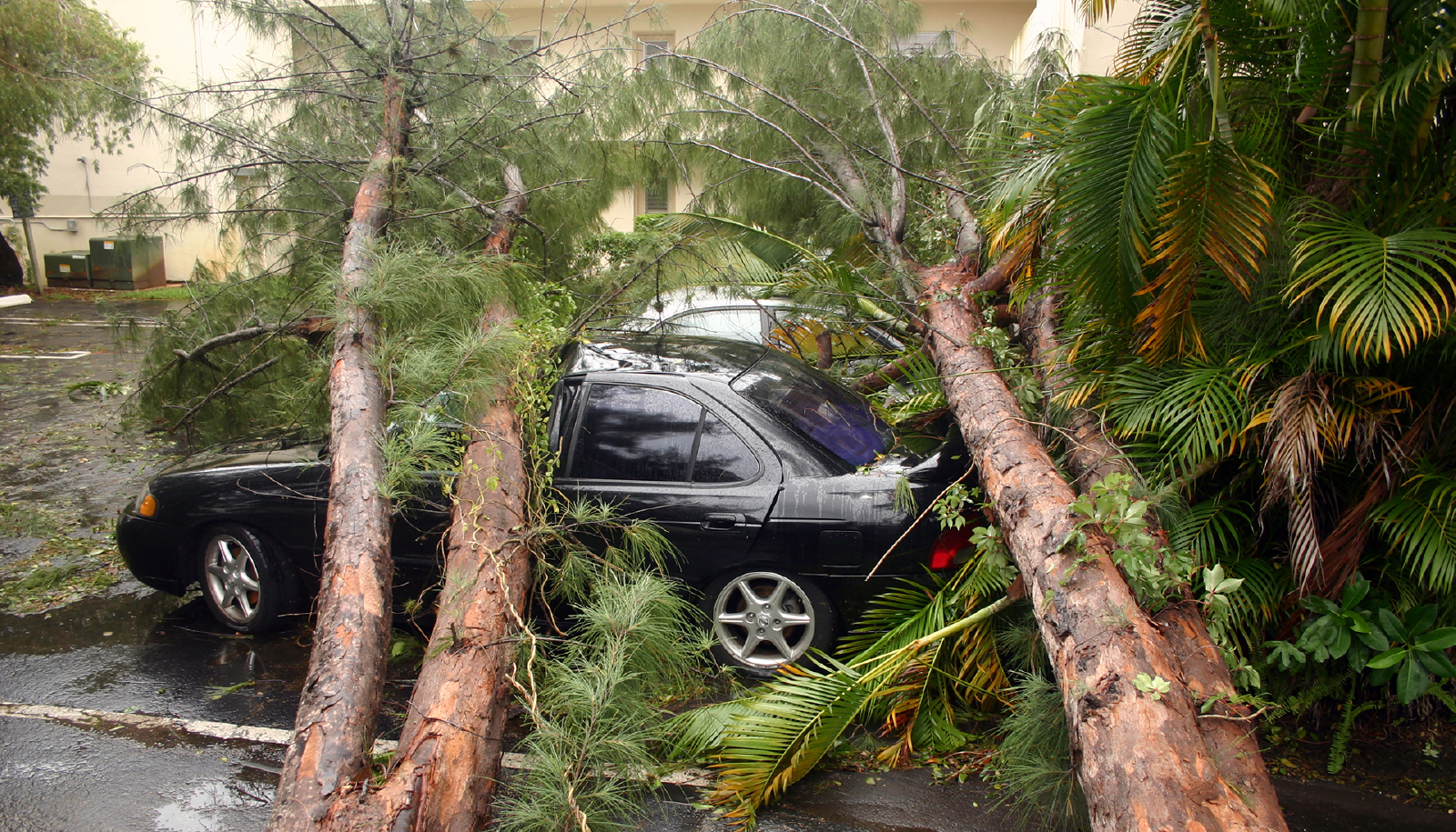 Does Car Insurance Cover Storm Damage?