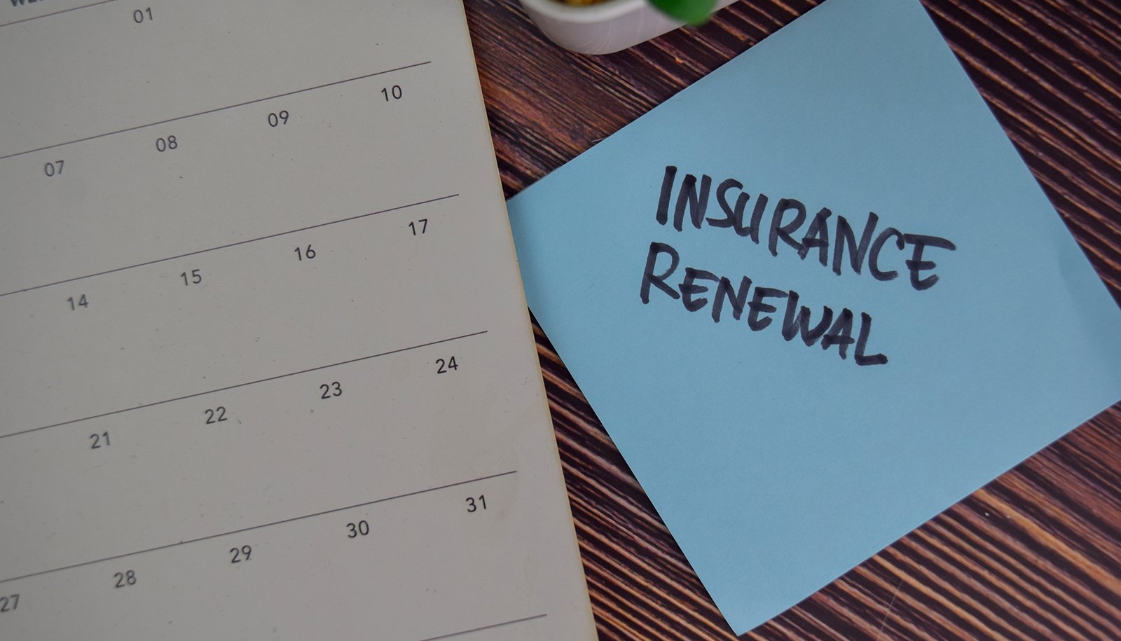 5 Reasons to Pay Attention to Your Car Insurance Renewal