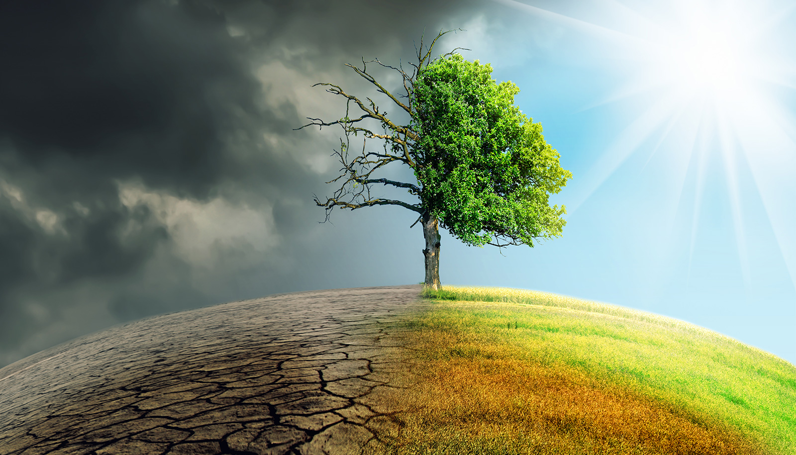 How climate change impacts homeowners insurance