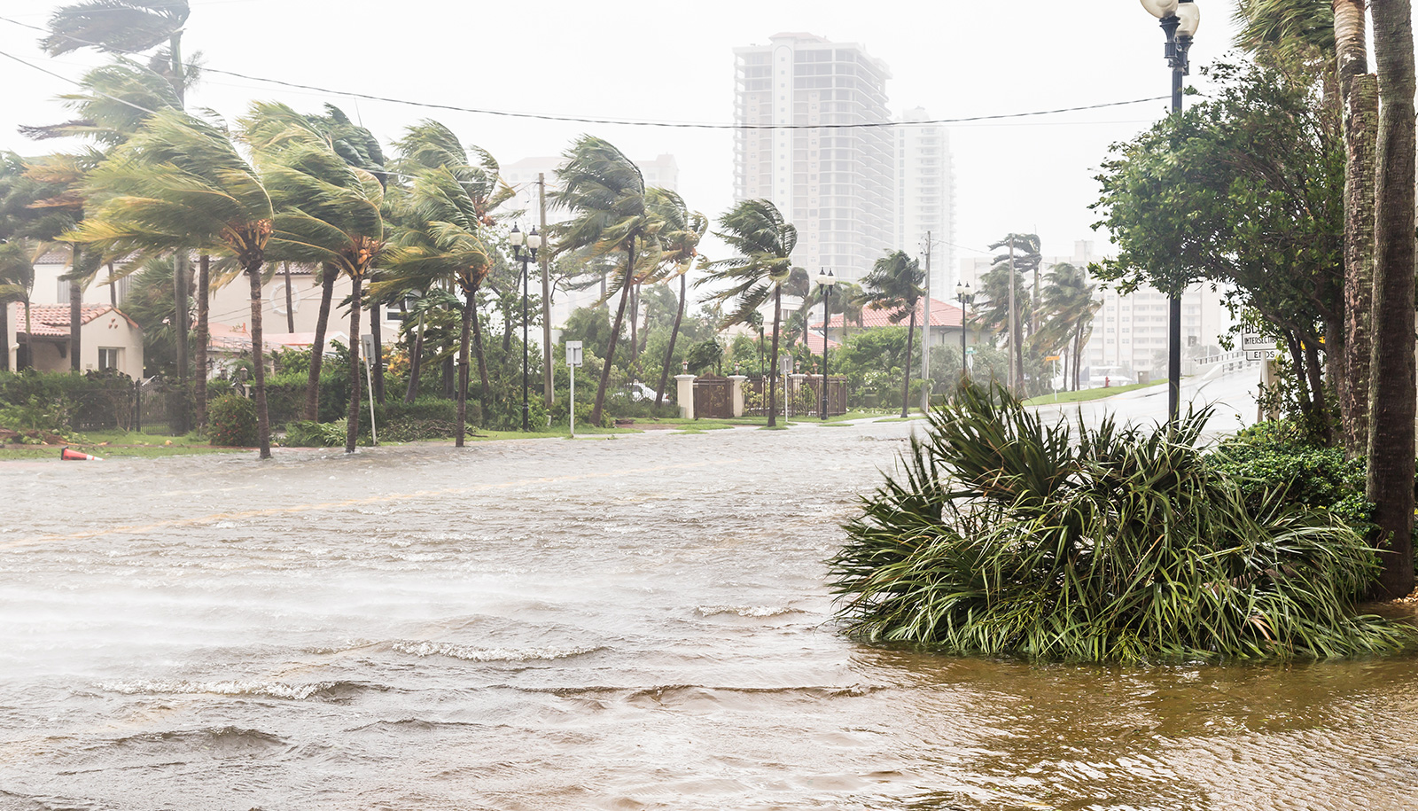 Florida-Flood-Insurance-Blog
