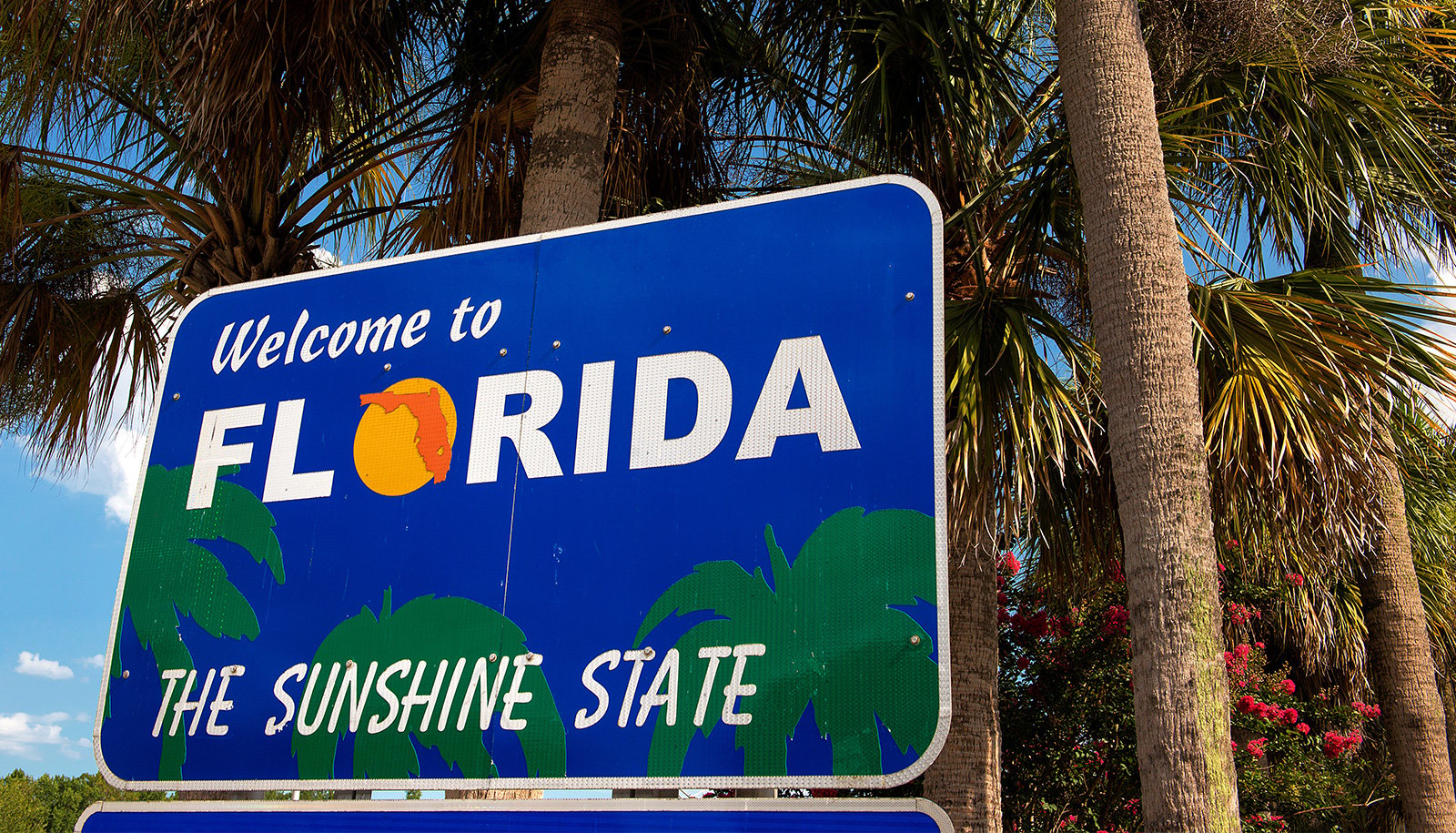 Moving to Florida? Consider These Home Insurance Company Tips